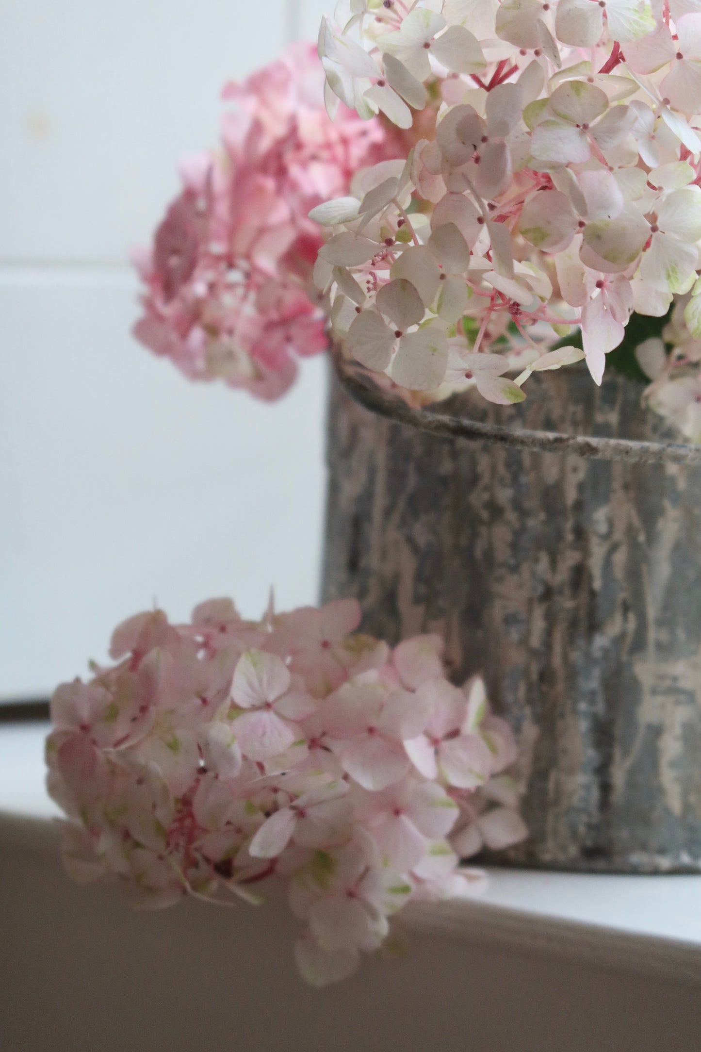 Beautiful Paint Kettle