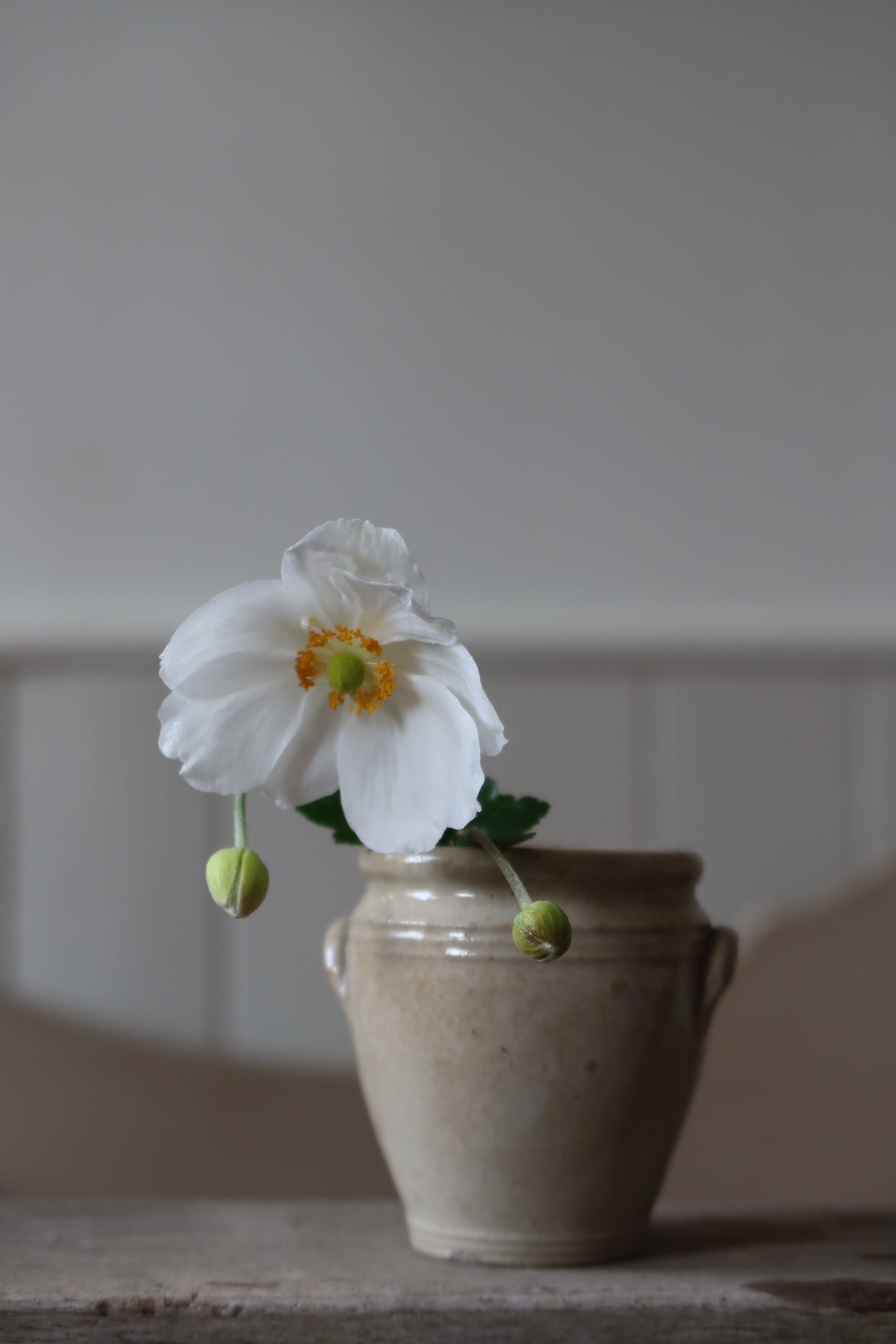 French mini confit pot