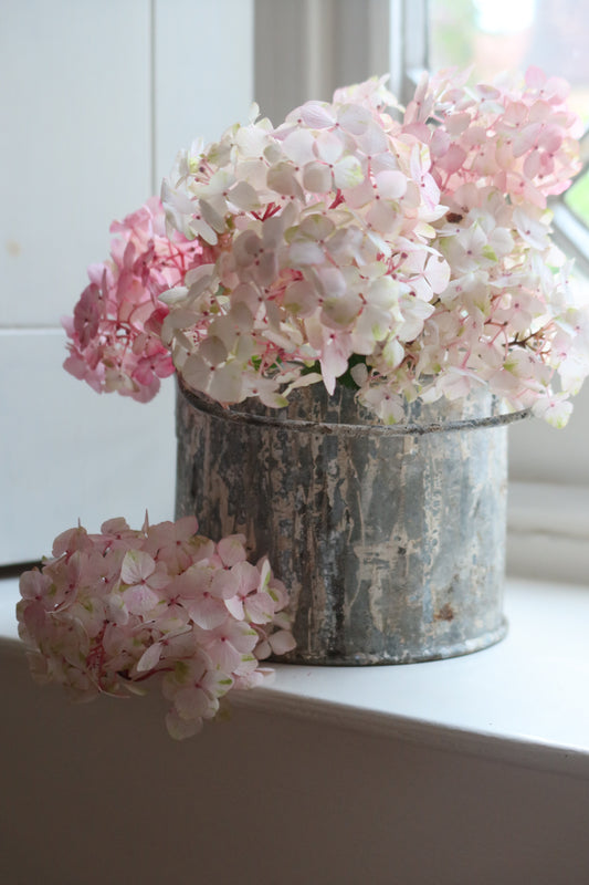 Beautiful Paint Kettle